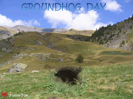 Groundhog Day 2008 , Phil a vu son ombre !