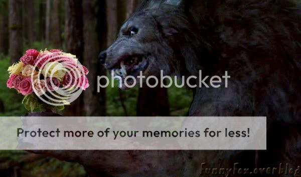 Fake Loup-Garou avec son bouquet de roses http://i319.photobucket.com/albums/mm442/funnyfoximages/St-Valentin-Loup-Garou.jpg
