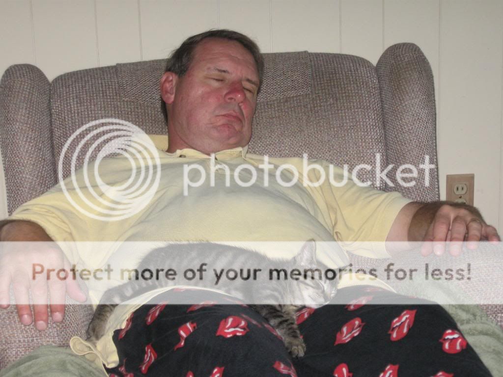 George and Lucky snoozing