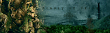 EntMemoryTrees.png Memory of Trees image by SquireWildtail