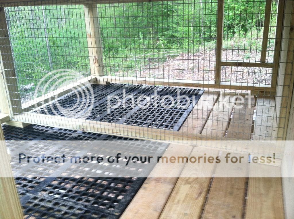 beagle pens off ground