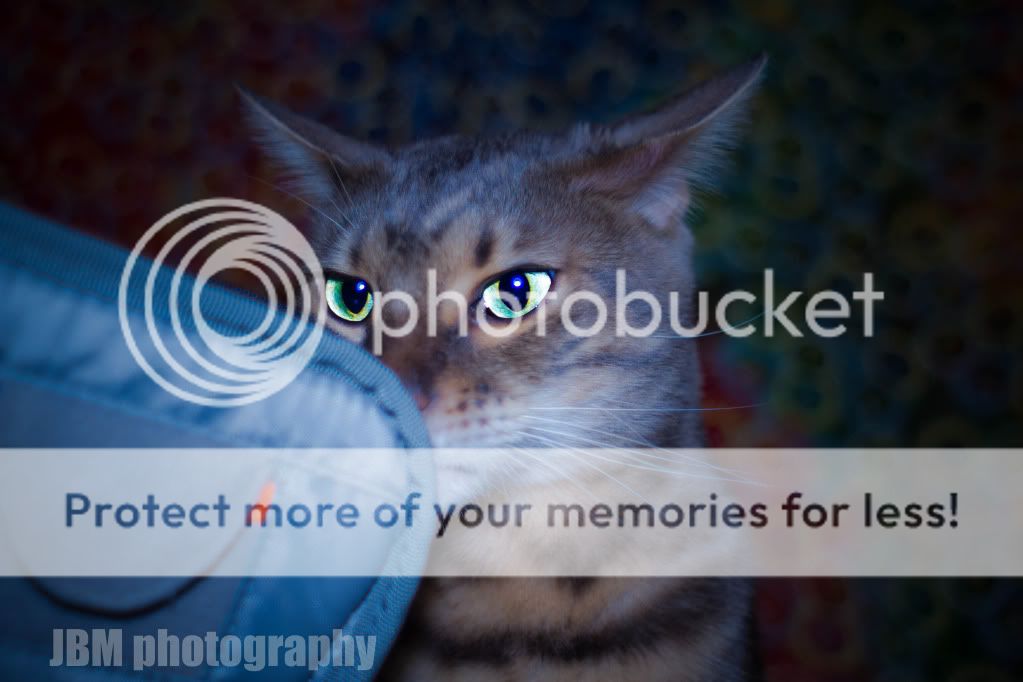 IMAGE: http://i319.photobucket.com/albums/mm471/bcstunter/Canon%207D%20%20test%20580EX%20II%20%2028-200mm/IMG_0004-1.jpg