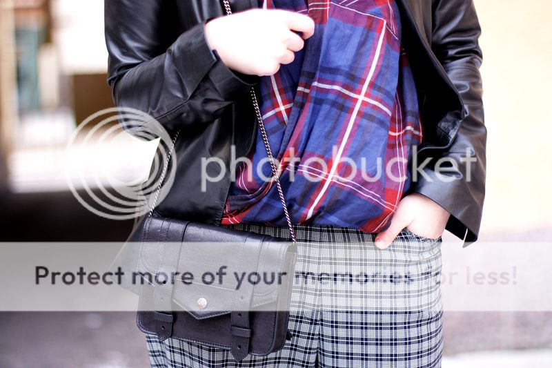 photo checked2.jpg