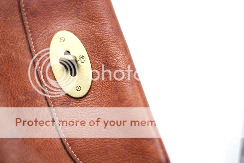 photo mulberry_lock.jpg