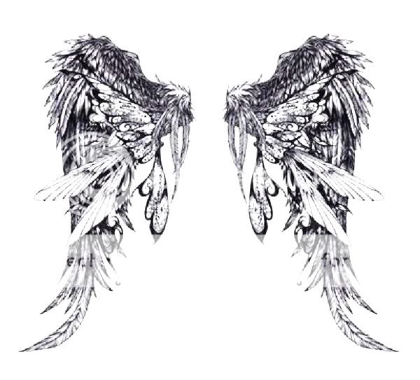 angle wing tattoos. images Angel Wings Tattoo7