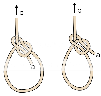 bowline.png