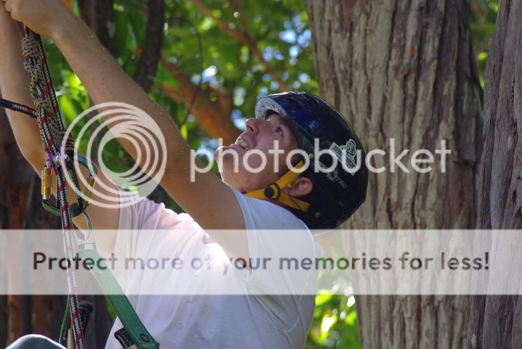 treeclimbing234.jpg